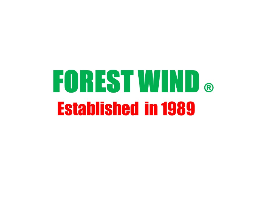 Forest Wind Profile