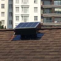 image for turbine vs solar