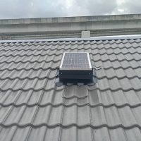 web gallelry 1 800x600